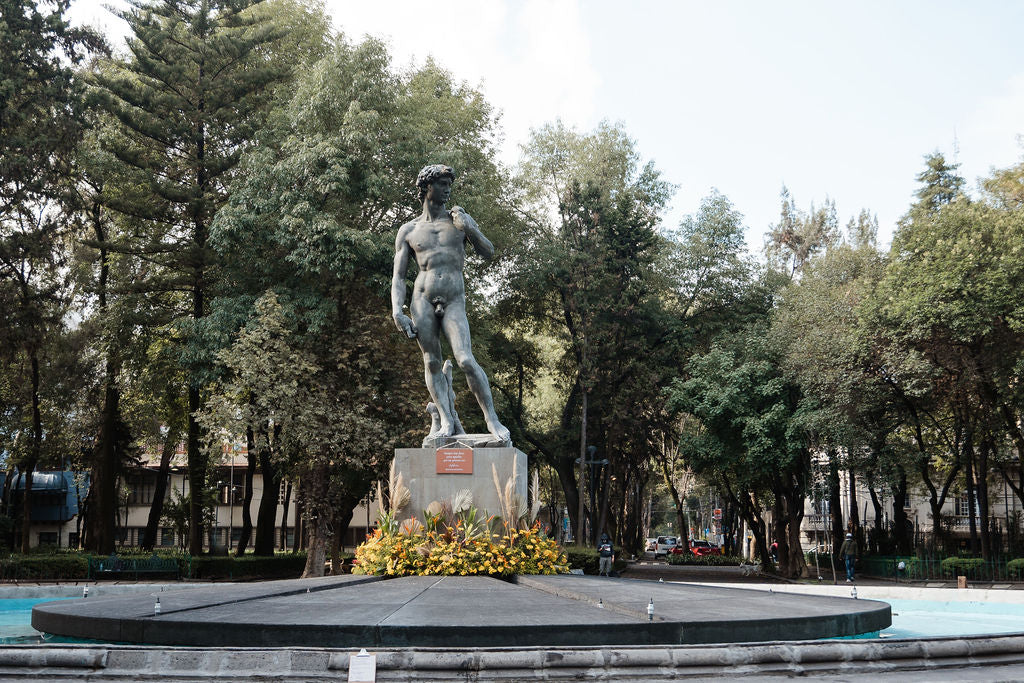 David, Parque Río de Janeiro No. 6