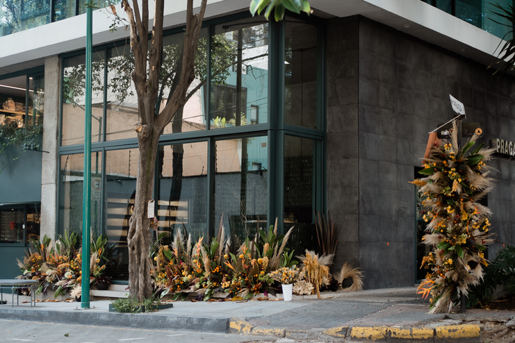 Praga y Dresde, CDMX No. 5