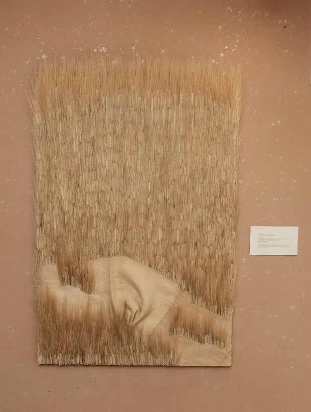 PAISAJES IMAGINADOS: ESPELTA / IMAGINED LANDSCAPES: SPELT