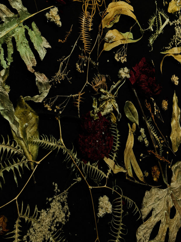 OBRA MURAL — PEONIAS DEL REINO NEGRO / MURAL ARTWORK — PEONIES OF THE BLACK KINGDOM