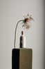 Alimento para flores