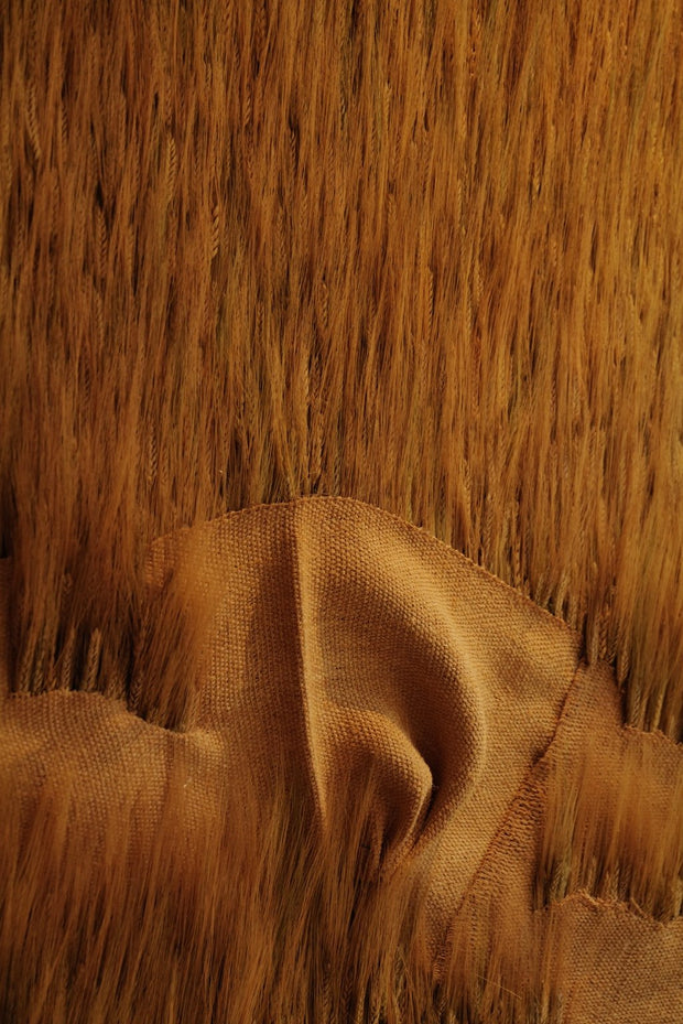PAISAJES IMAGINADOS: ESPELTA / IMAGINED LANDSCAPES: SPELT
