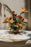 Strelitzia