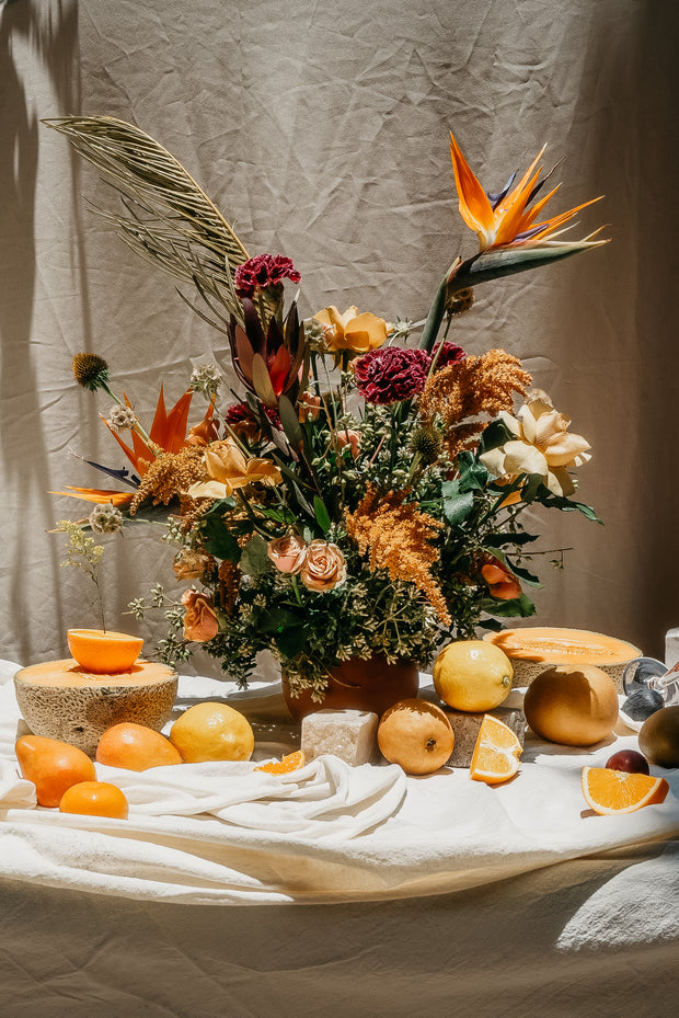 Strelitzia