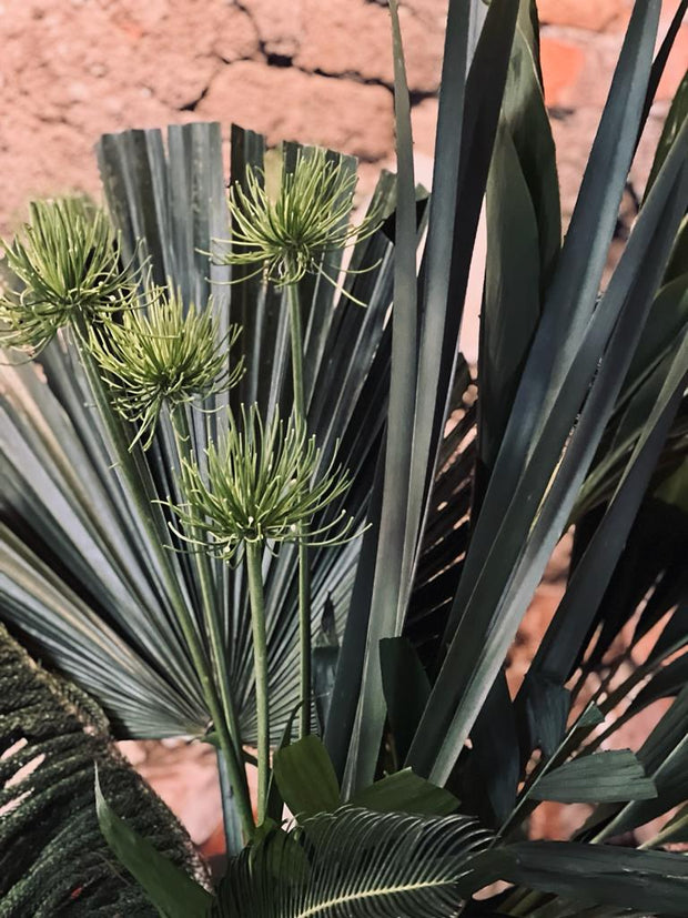 Elegancia botánica: Tres arreglos de follaje altos.