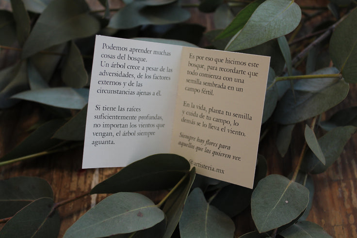 Caja de semillas