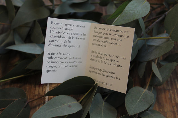 Caja de semillas