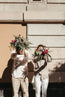 Ramo de flores frescas. Flores en base, Colonia Roma, Floreria vogue, floreria única, flores cool, flores diseñador, diseñador floral, flores de lujo, envío de flores, envía flores cdmx, flores a domicilio, regalos únicos, envío regalos
