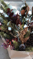 Christmas Bloom