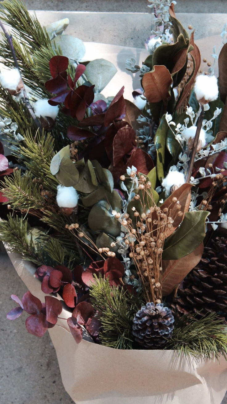 Christmas Bloom