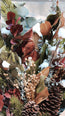 Christmas Bloom