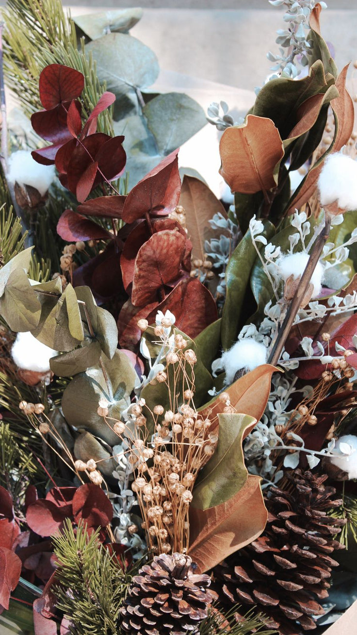 Christmas Bloom