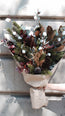 Christmas Bloom